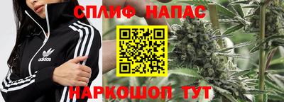 МДПВ Беслан