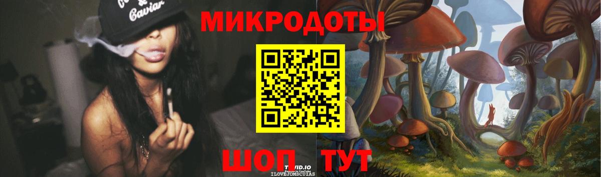 Карачаевск  Галлюциногенные грибы прущие грибы  купить закладку  Вход с VPN 